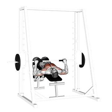 Smith Decline Bench Press - Exclusive get you ultimate Strength for Pectoralis from X health blend   Animated Exercise  Library