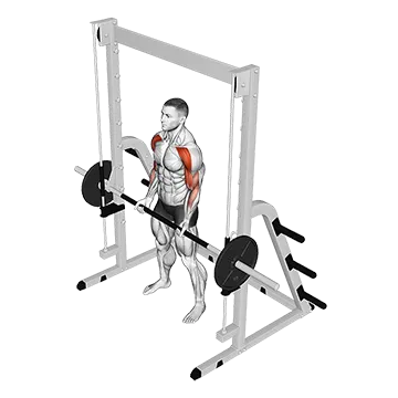 Smith Drag Curl - Exclusive get you ultimate Strength for Biceps from X health blend   Animated Exercise  Library