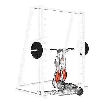 Smith Leg Press - Exclusive get you ultimate Strength for Quadriceps from X health blend   Animated Exercise  Library