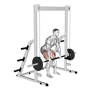 Smith Rack Pull