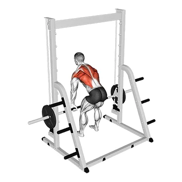 Smith Rear Delt Row - Exclusive get you ultimate Strength for Rear Deltoids from X health blend   Animated Exercise  Library