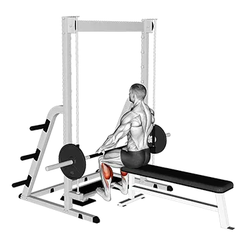Smith Seated Calf Raise - Exclusive get you ultimate Strength for Calves from X health blend   Animated Exercise  Library