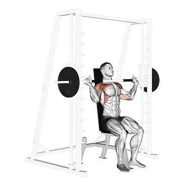 Smith Shoulder Press - Exclusive get you ultimate Strength for Deltoids from X health blend   Animated Exercise  Library