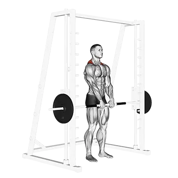 Smith Shrug - Exclusive get you ultimate Strength for Traps from X health blend   Animated Exercise  Library