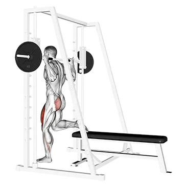 Smith Single Leg Split Squat - Exclusive get you ultimate Strength for Quadriceps from X health blend   Animated Exercise  Library