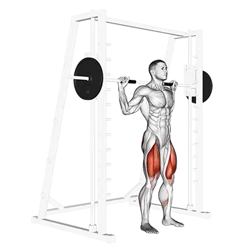 Smith Squat - Exclusive get you ultimate Strength for Quadriceps from X health blend   Animated Exercise  Library