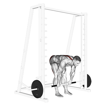 Smith Stiff-Legged Deadlift - Exclusive get you ultimate Strength for Hamstrings from X health blend   Animated Exercise  Library