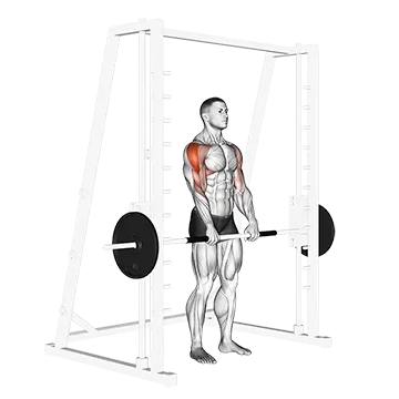 Smith Upright Row - Exclusive get you ultimate Strength for Deltoids from X health blend   Animated Exercise  Library