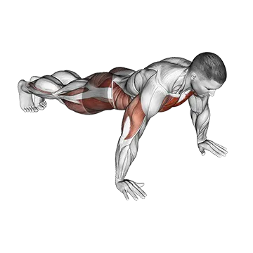 Spider Crawl Push Up - Exclusive get you ultimate Strength for Pectoralis