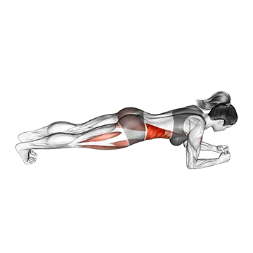 Spider Plank