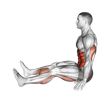 Spine Stretch