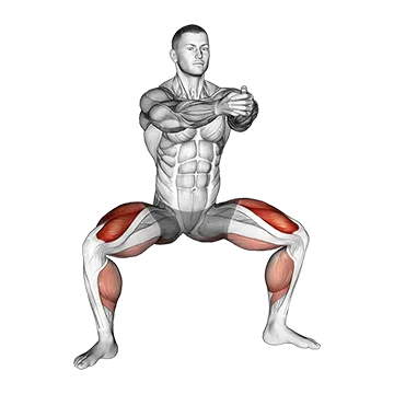 Squat Tip Toe - Exclusive get you ultimate Strength for Quadriceps