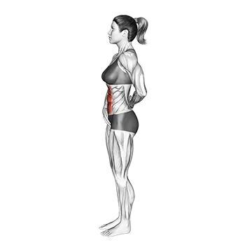 Standing Abdominal Vacuum