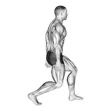 Standing Achilles Stretch - Exclusive get you ultimate Stretching for Gastrocnemius from X health blend   Animated Exercise  Library