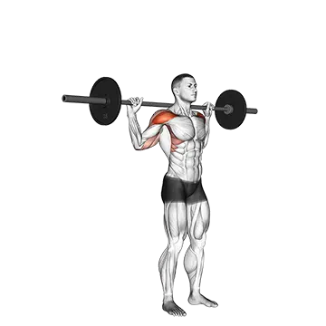 Standing Behind Neck Press - Exclusive get you ultimate Strength for Deltoids from X health blend   Animated Exercise  Library