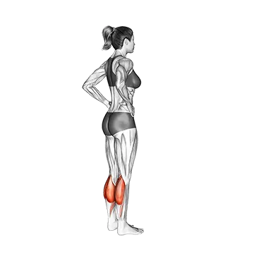 Standing Calf Raise - Exclusive get you ultimate Strength for Gastrocnemius from X health blend   Animated Exercise  Library