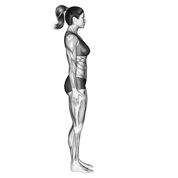 Standing Forward Bend Uttanasana - Exclusive get you ultimate Stretching for Hamstrings