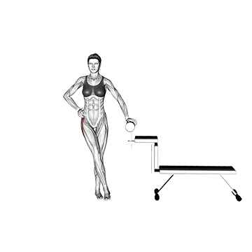 Standing Hip Abduction - Exclusive get you ultimate Strength for Gluteus Medius from X health blend   Animated Exercise  Library