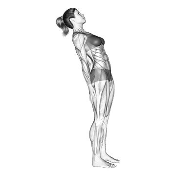 Standing Lean Back Stomach Stretch