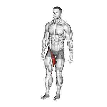 Standing Leg Circle