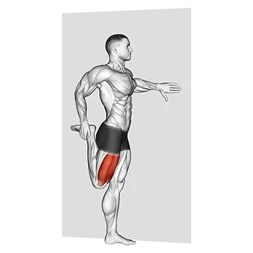 Standing Quadriceps Stretch