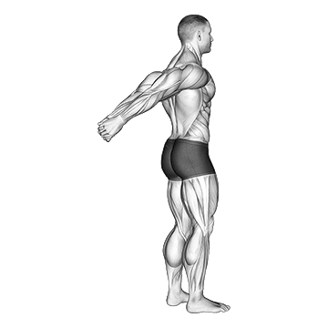 Standing Reverse Shoulder Stretch - Exclusive get you ultimate Stretching for Deltoids from X health blend   Animated Exercise  Library