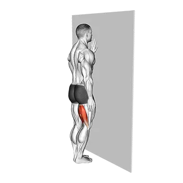 Standing Single Leg Curl - Exclusive get you ultimate Strength for Hamstrings from X health blend   Animated Exercise  Library