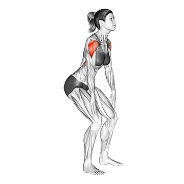 Standing T Raise - Exclusive get you ultimate Strength for Deltoids from X health blend   Animated Exercise  Library