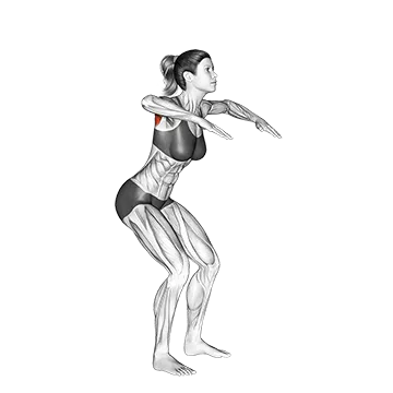 Standing W Raise - Exclusive get you ultimate Strength for Deltoids from X health blend   Animated Exercise  Library