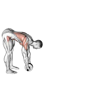 Standing Wheel Rollout - Exclusive get you ultimate Strength for Rectus Abdominis from X health blend   Animated Exercise  Library
