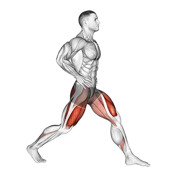 Static Lunge - Exclusive get you ultimate Strength for Quadriceps