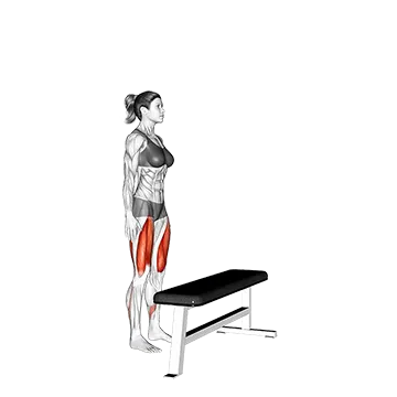 Step Up - Exclusive get you ultimate Strength for Quadriceps