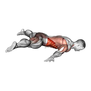 Straddle Maltese - Exclusive get you ultimate Strength for Rectus Abdominis from X health blend   Animated Exercise  Library