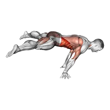 Straddle Planche - Exclusive get you ultimate Strength for Rectus Abdominis from X health blend   Animated Exercise  Library