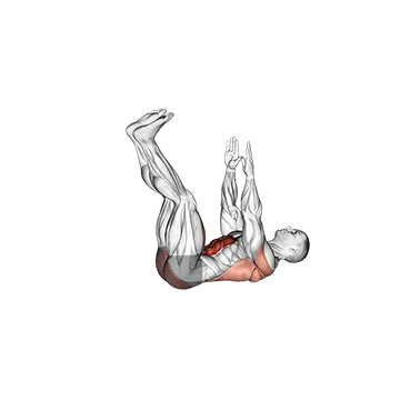 Straight Leg Dead Bug - Exclusive get you ultimate Strength for Rectus Abdominis from X health blend   Animated Exercise  Library