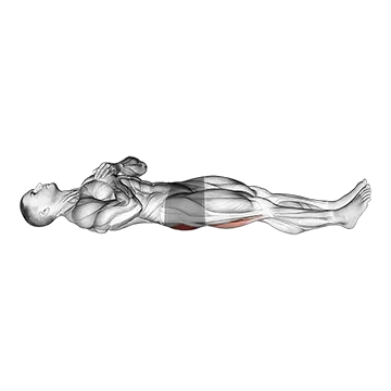 Straight Leg Hip Bridge - Exclusive get you ultimate Strength for Glutes from X health blend   Animated Exercise  Library