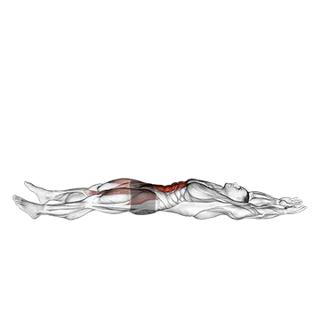 Straight Leg Sit Up - Exclusive get you ultimate Strength for Rectus Abdominis from X health blend   Animated Exercise  Library