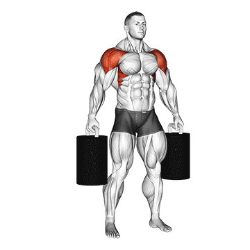 Strongman Crucifix Hold - Exclusive get you ultimate Strength for Deltoids