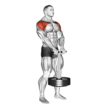 Strongman Front Hold - Exclusive get you ultimate Strength for Deltoids