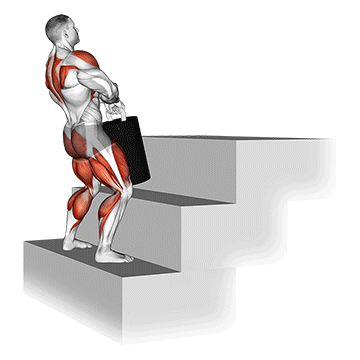 Strongman Power Stairs - Exclusive get you ultimate Strength for Quadriceps