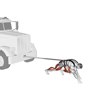 Strongman Truck Pull - Exclusive get you ultimate Strength for Quadriceps from X health blend   Animated Exercise  Library