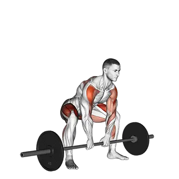 Sumo Deadlift High Pull - Exclusive get you ultimate Strength for Quadriceps from X health blend   Animated Exercise  Library