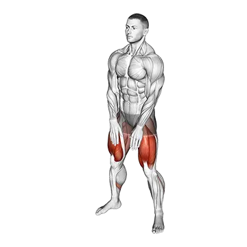 Sumo Squat Floor Touch - Exclusive get you ultimate Strength for Quadriceps from X health blend   Animated Exercise  Library