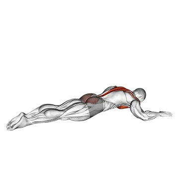 Superman Chest Stretch - Exclusive get you ultimate Stretching for Chest from X health blend   Animated Exercise  Library