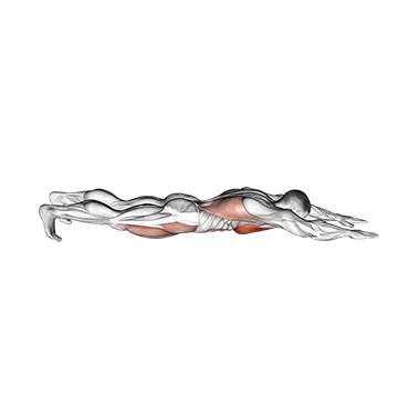 Superman Push Up - Exclusive get you ultimate Strength for Chest from X health blend   Animated Exercise  Library