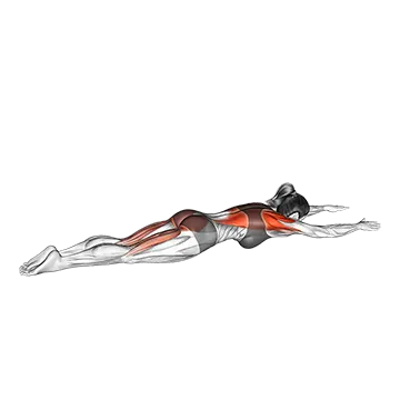 Superman Row - Exclusive get you ultimate Strength for Back from X health blend   Animated Exercise  Library
