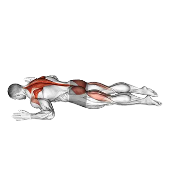 Superman W - Exclusive get you ultimate Strength for Back from X health blend   Animated Exercise  Library