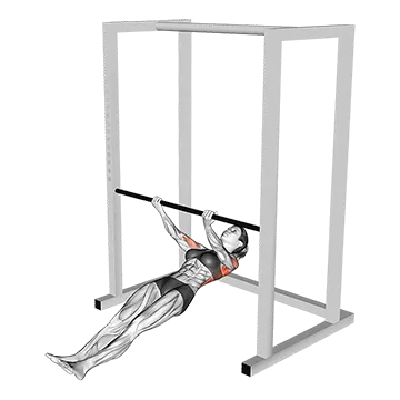 Supinated Grip Inverted Row - Exclusive get you ultimate Strength for Back from X health blend   Animated Exercise  Library