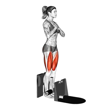 Supported Squat - Exclusive get you ultimate Strength for Quadriceps from X health blend   Animated Exercise  Library
