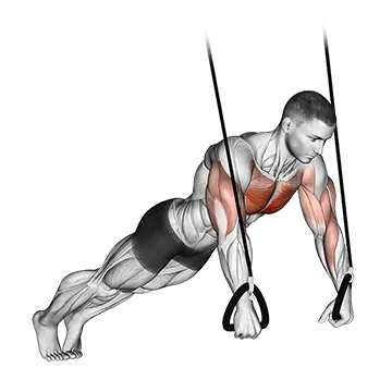 Suspended Push Up - Exclusive get you ultimate Strength for Chest from X health blend   Animated Exercise  Library